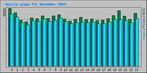 Hourly usage for November 2024